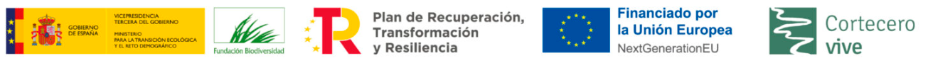 Imagen debajo del mapa